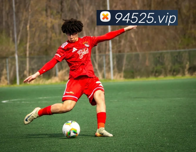 太阳集团城娱ccvip品牌故事